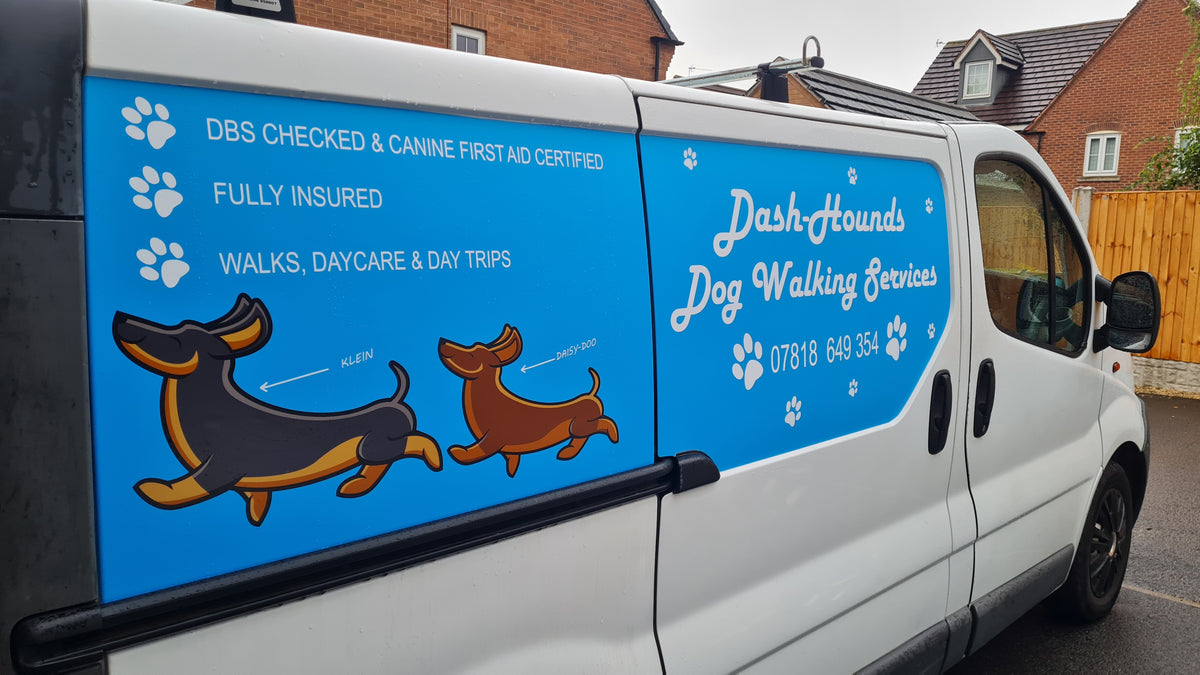 Dash-Hounds Dog Walking Services - customer project photograph