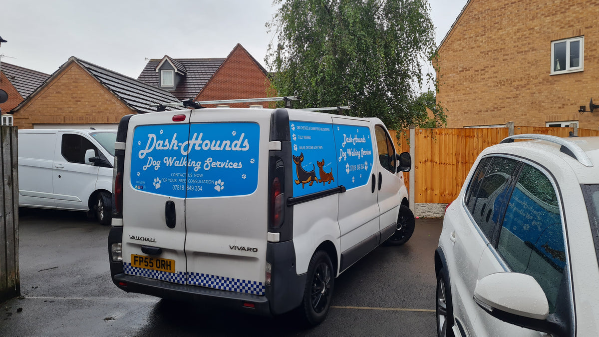 Dash-Hounds Dog Walking Services - customer project photograph