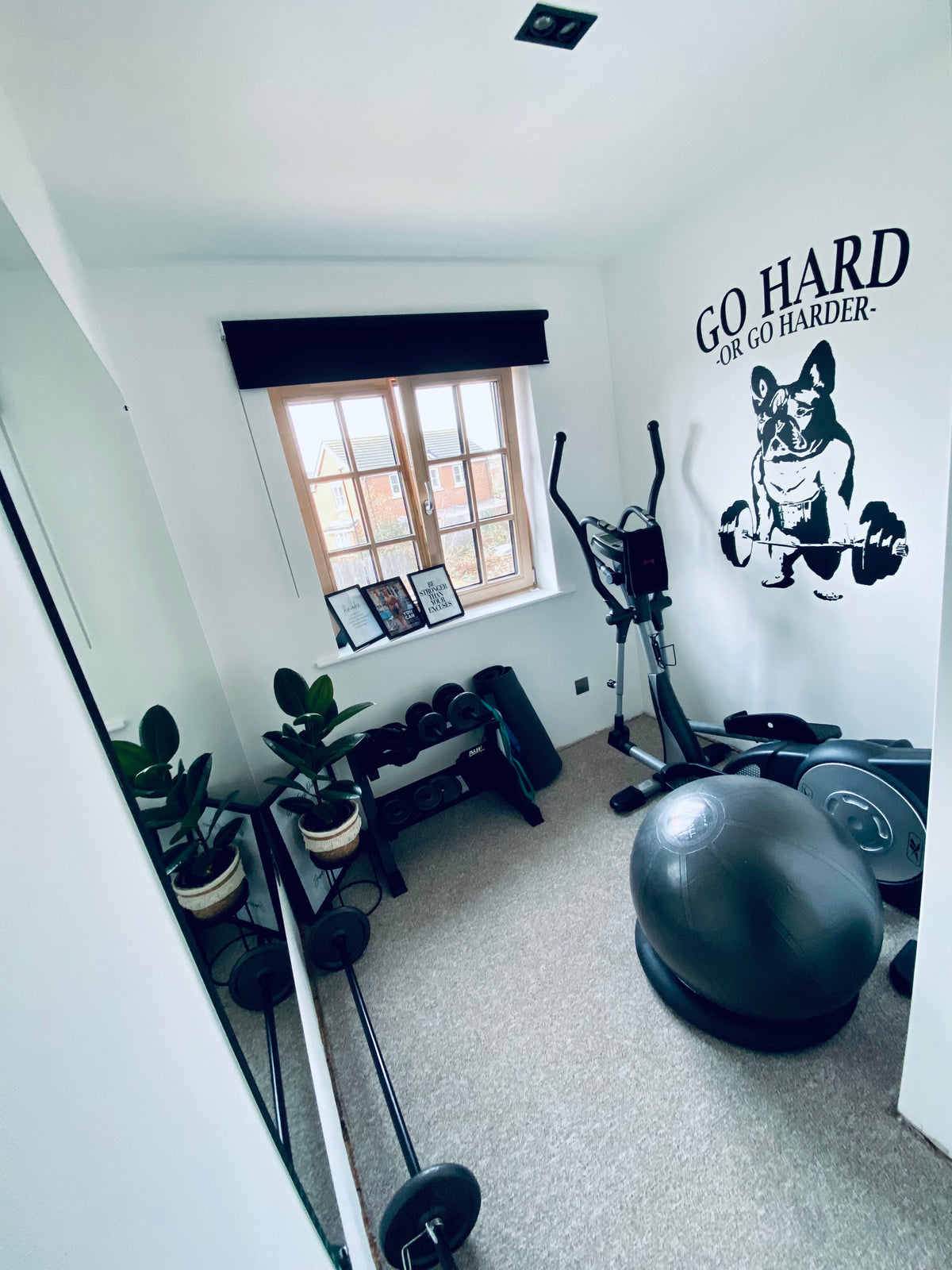 Bulldog home gym — original project photograph