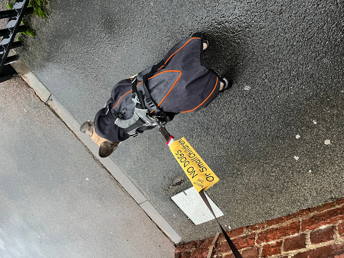 Dog lead warning sleeve — original project photograph