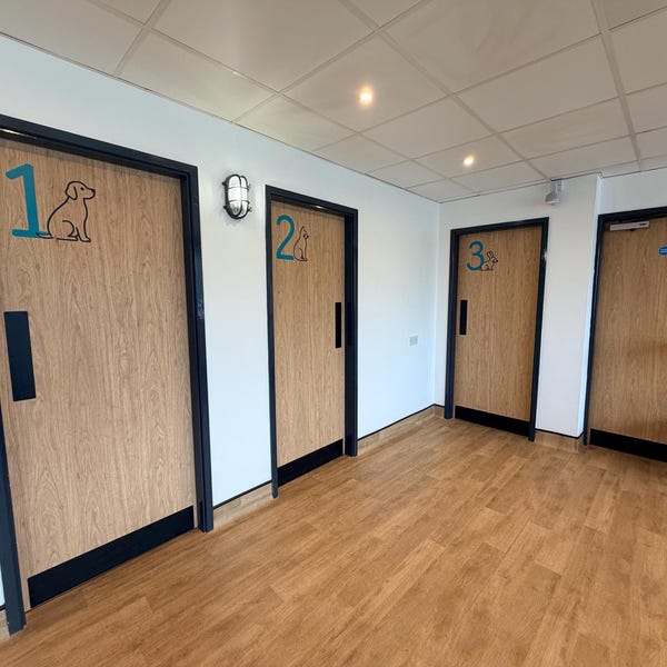 Coloured numbers and animal symbols applied to doors along a corridor.