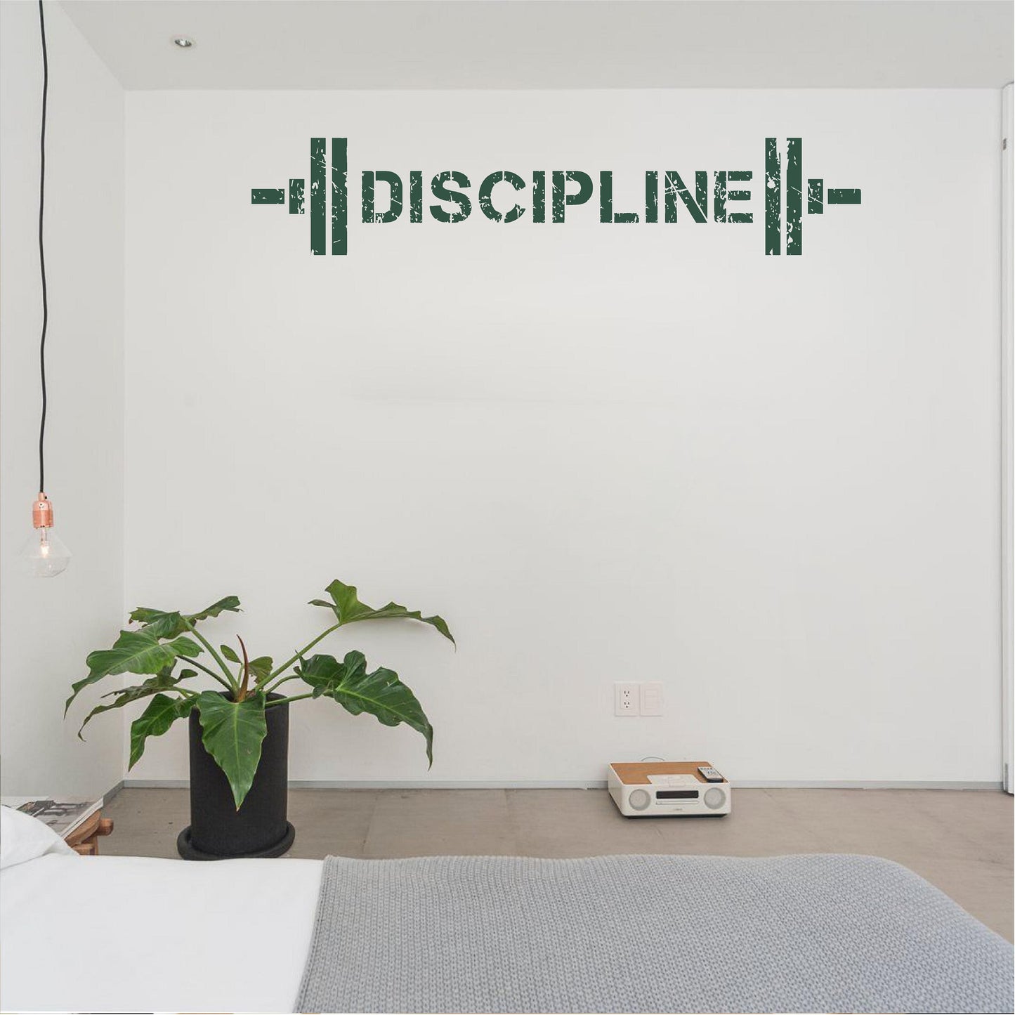 Discipline