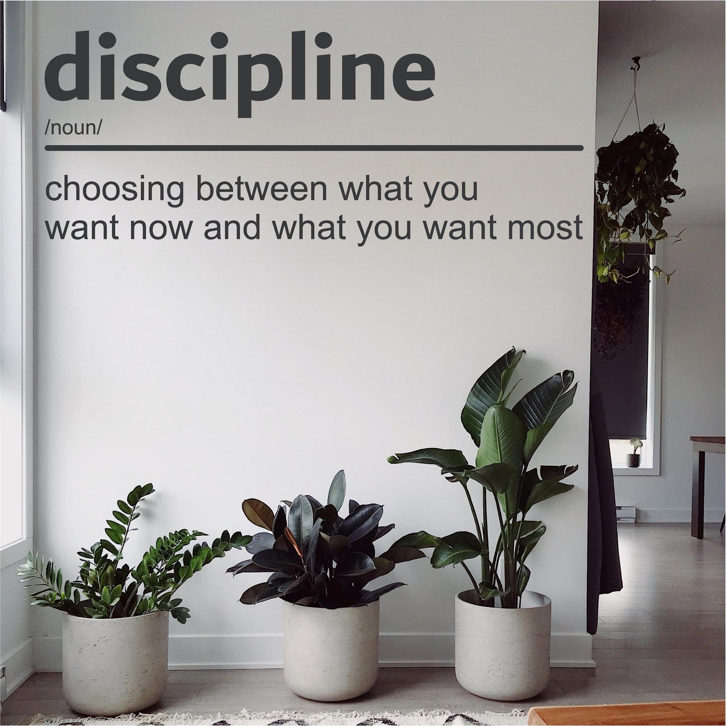 Definition of Discipline