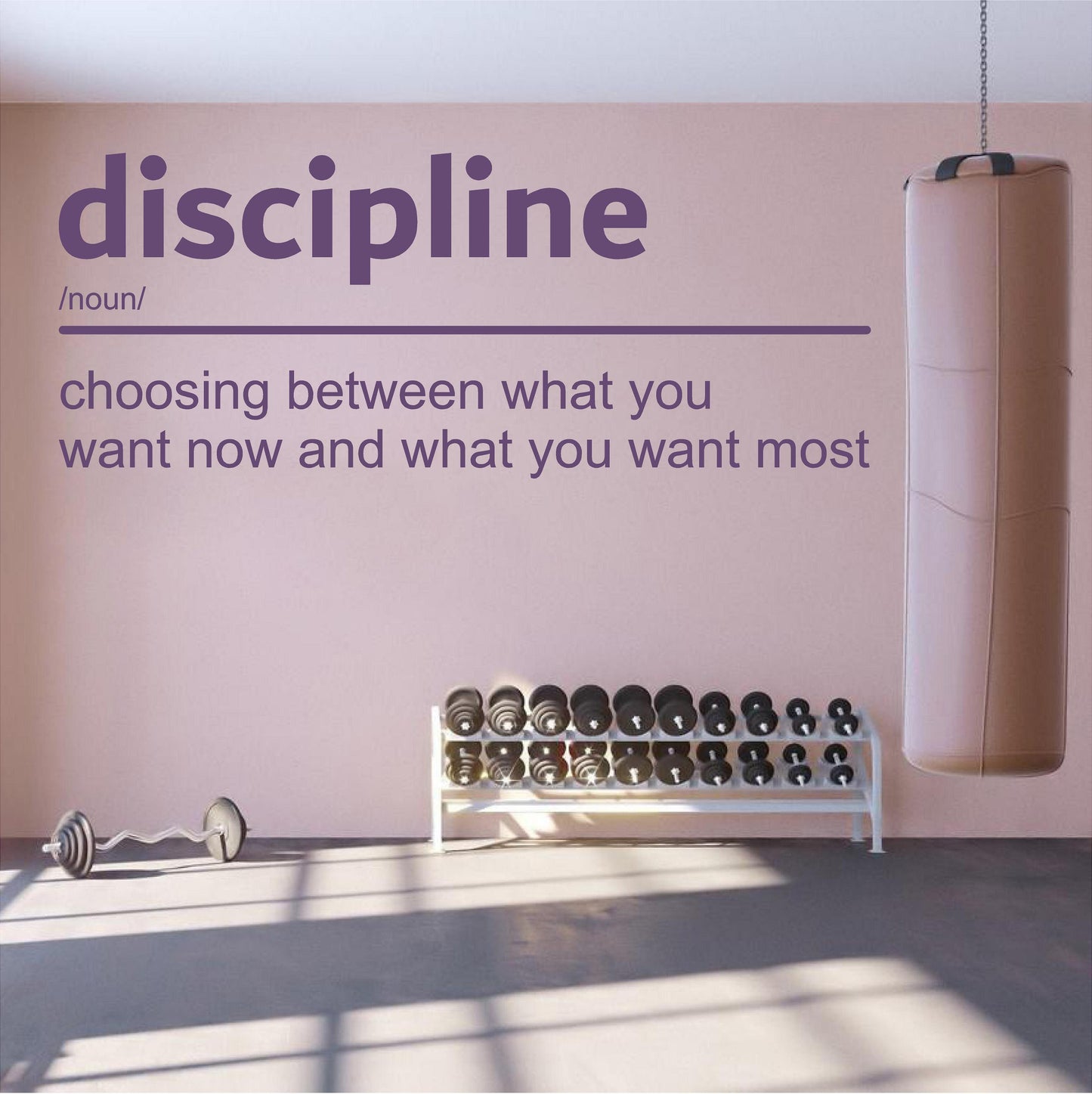 Definition of Discipline