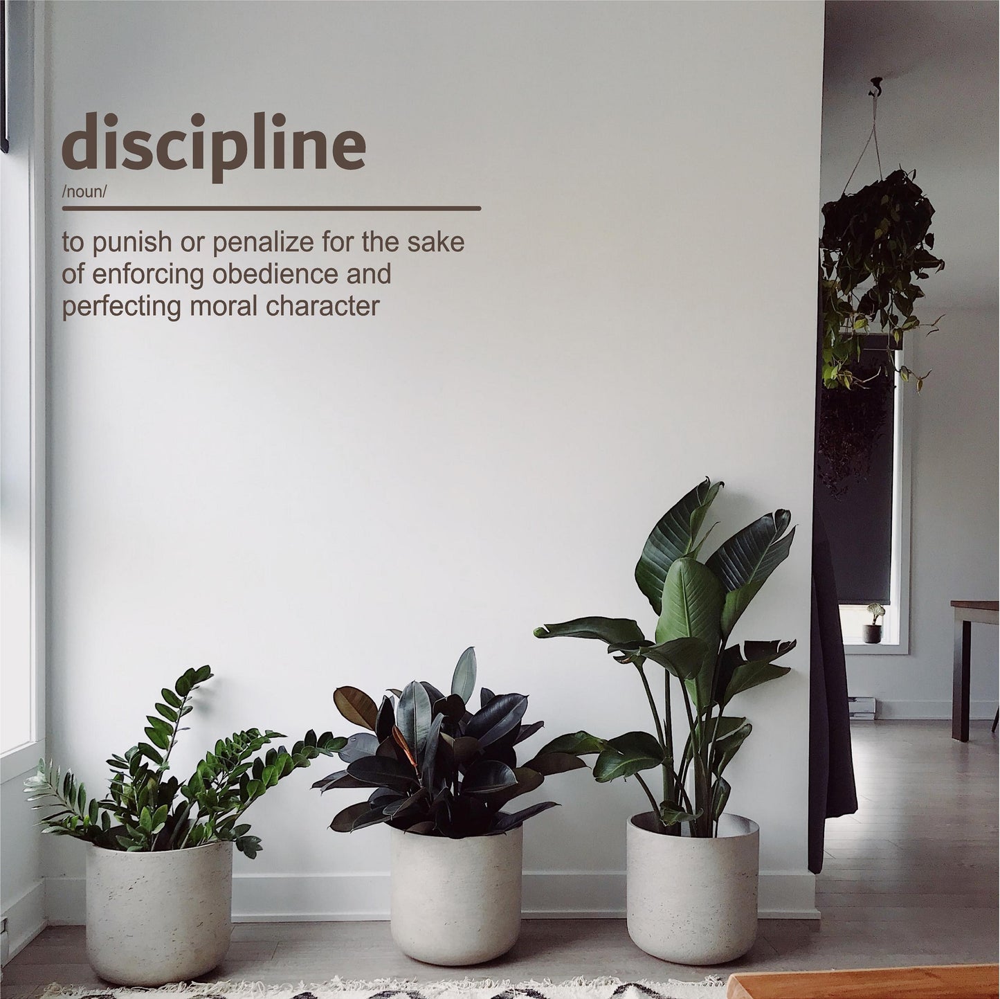 Definition of Discipline