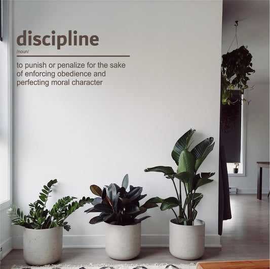Definition of Discipline