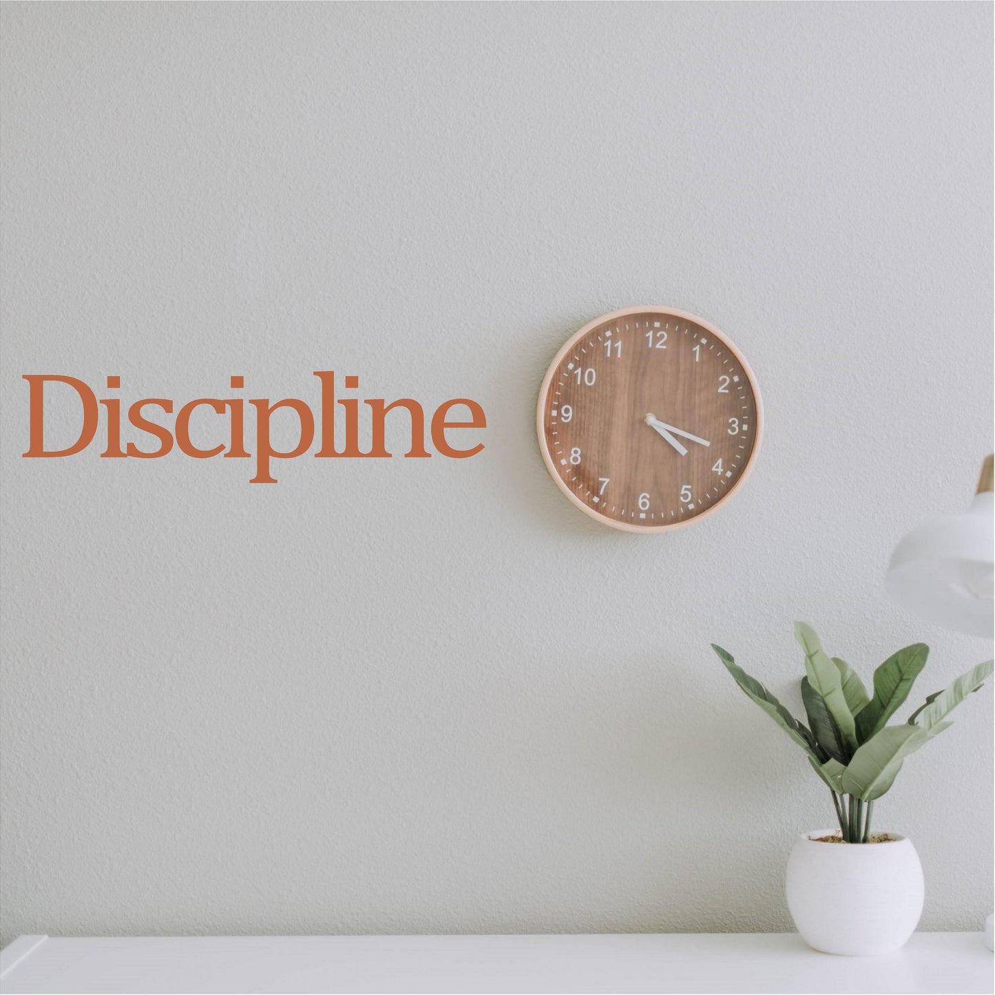 Discipline