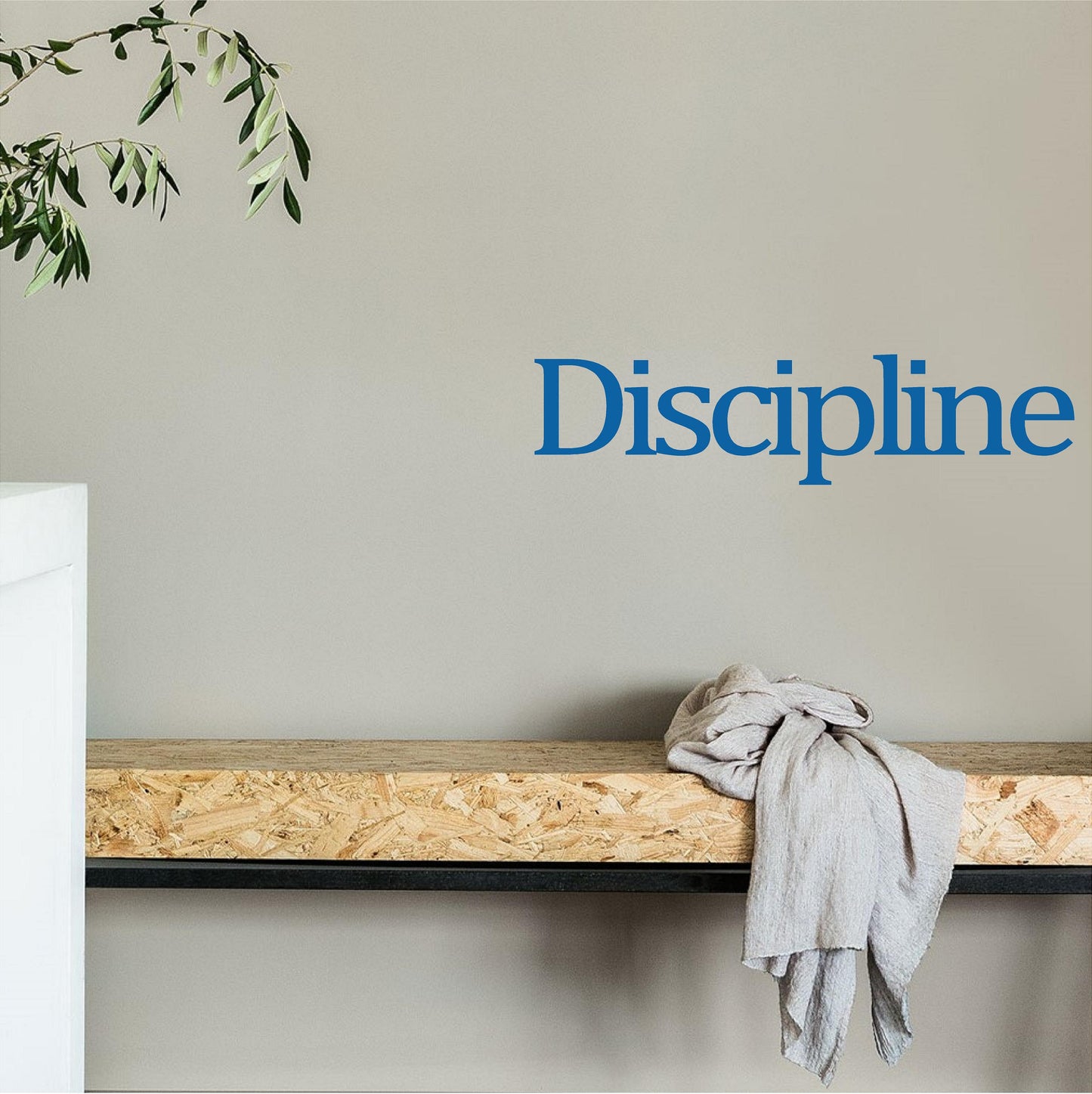 Discipline