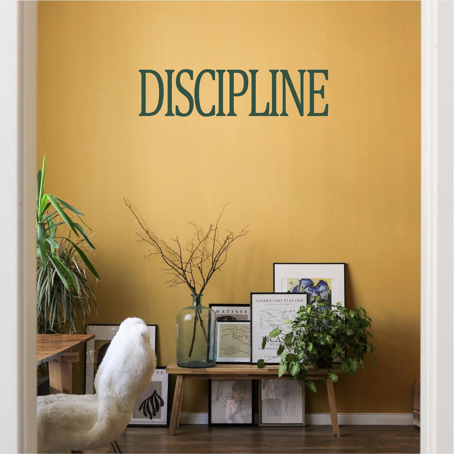 Discipline
