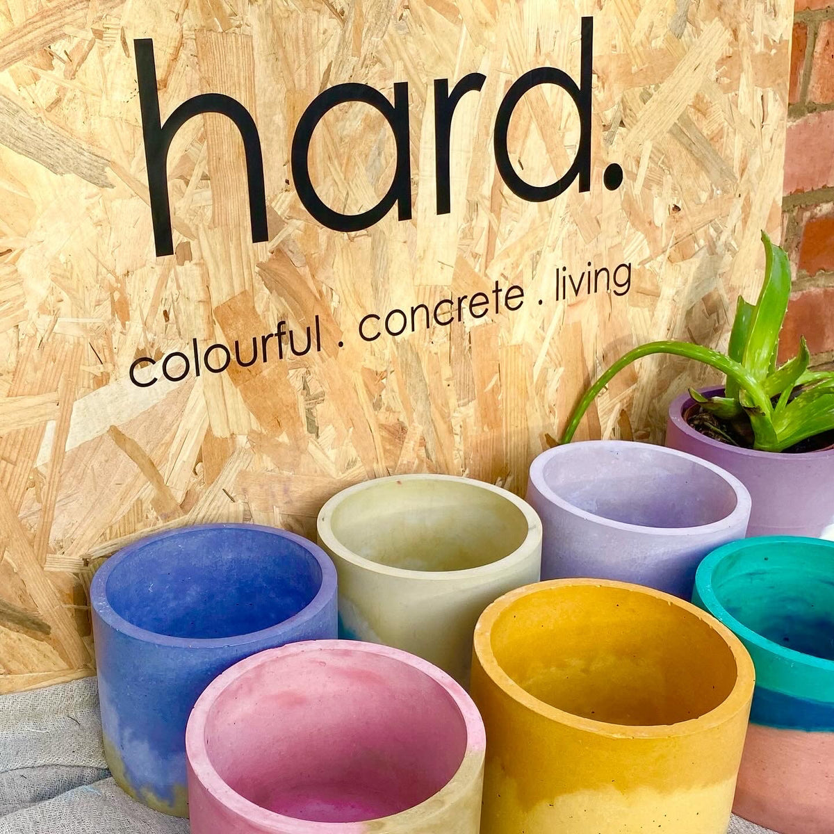 Hard colourful concrete - customer project photograph