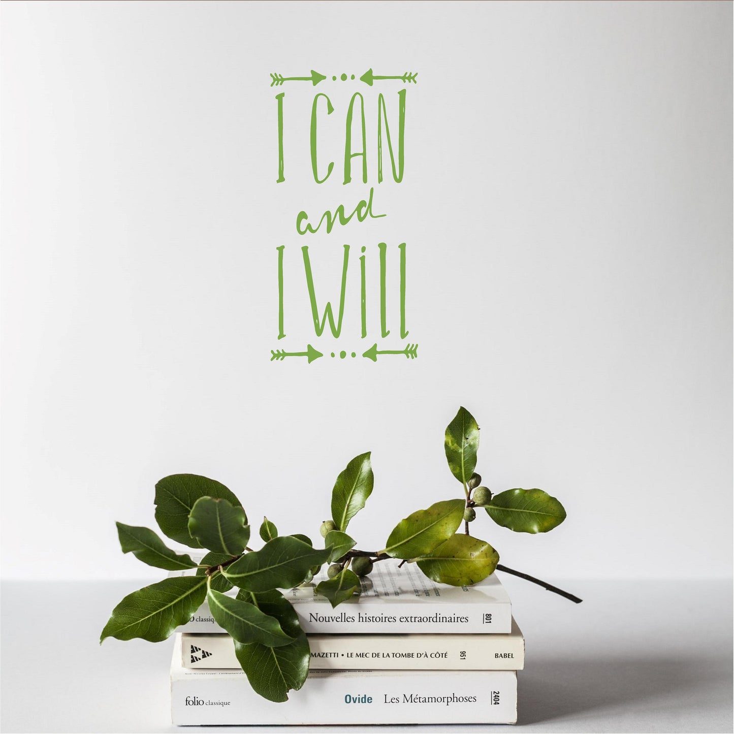 I can I will