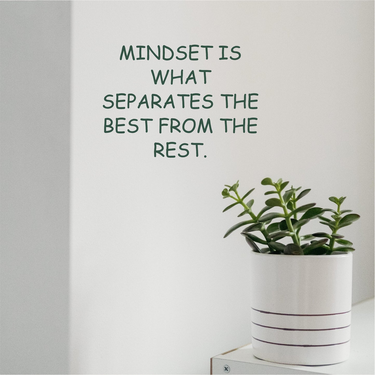 Mindset is what separates the best from the rest