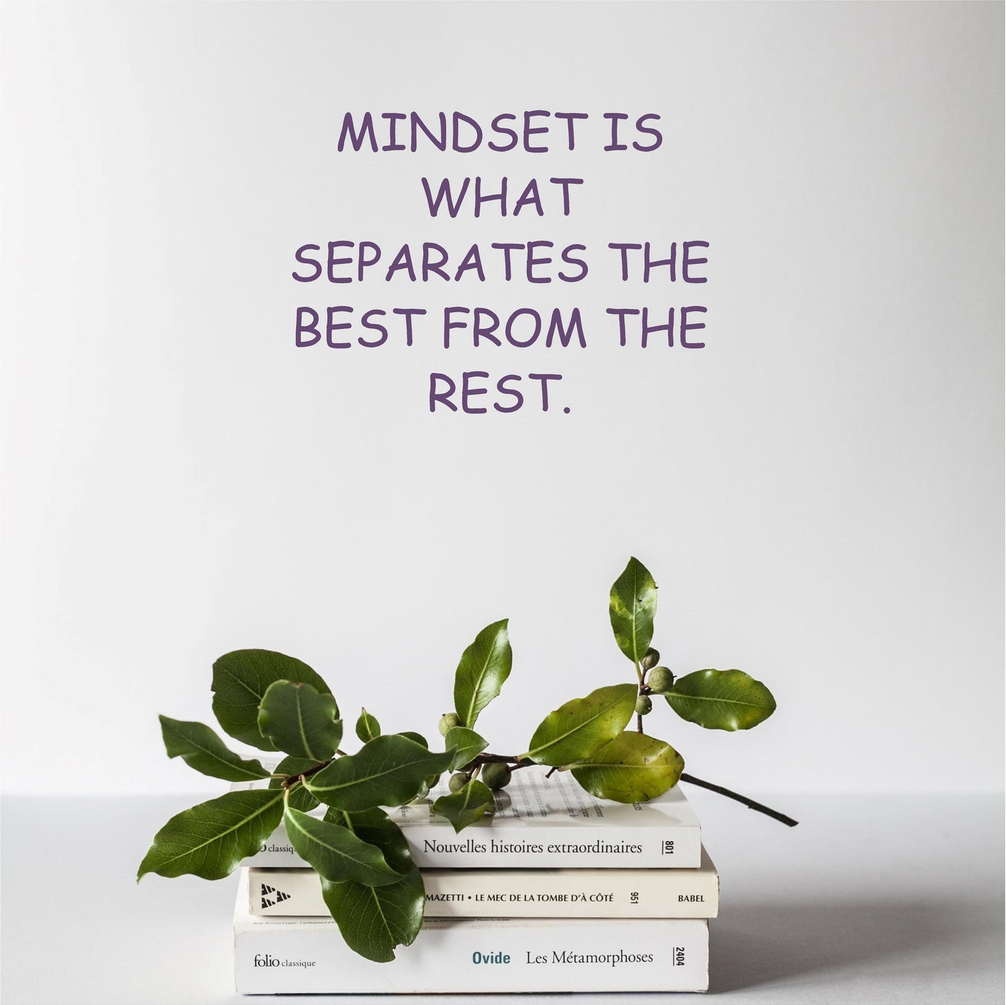 Mindset is what separates the best from the rest