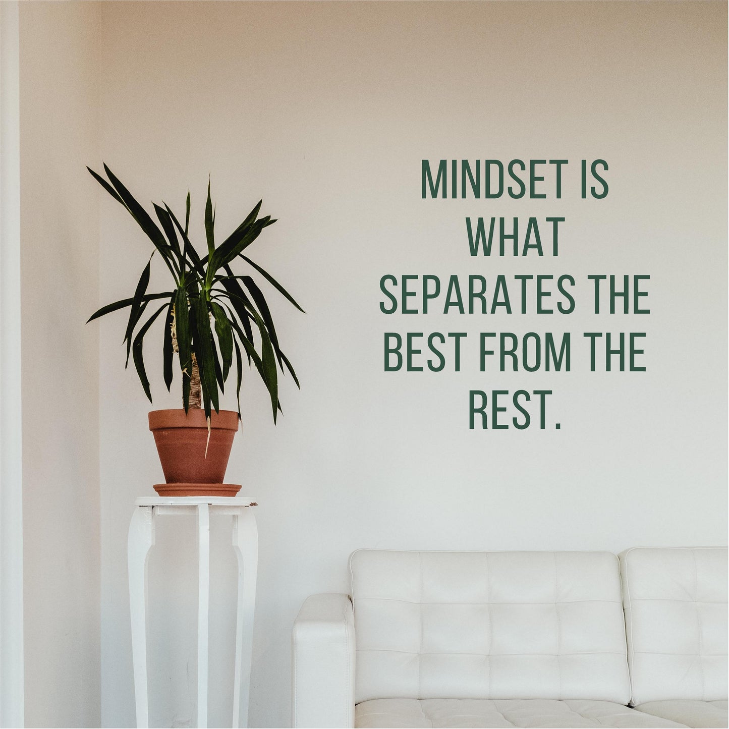 Mindset is what separates the best from the rest