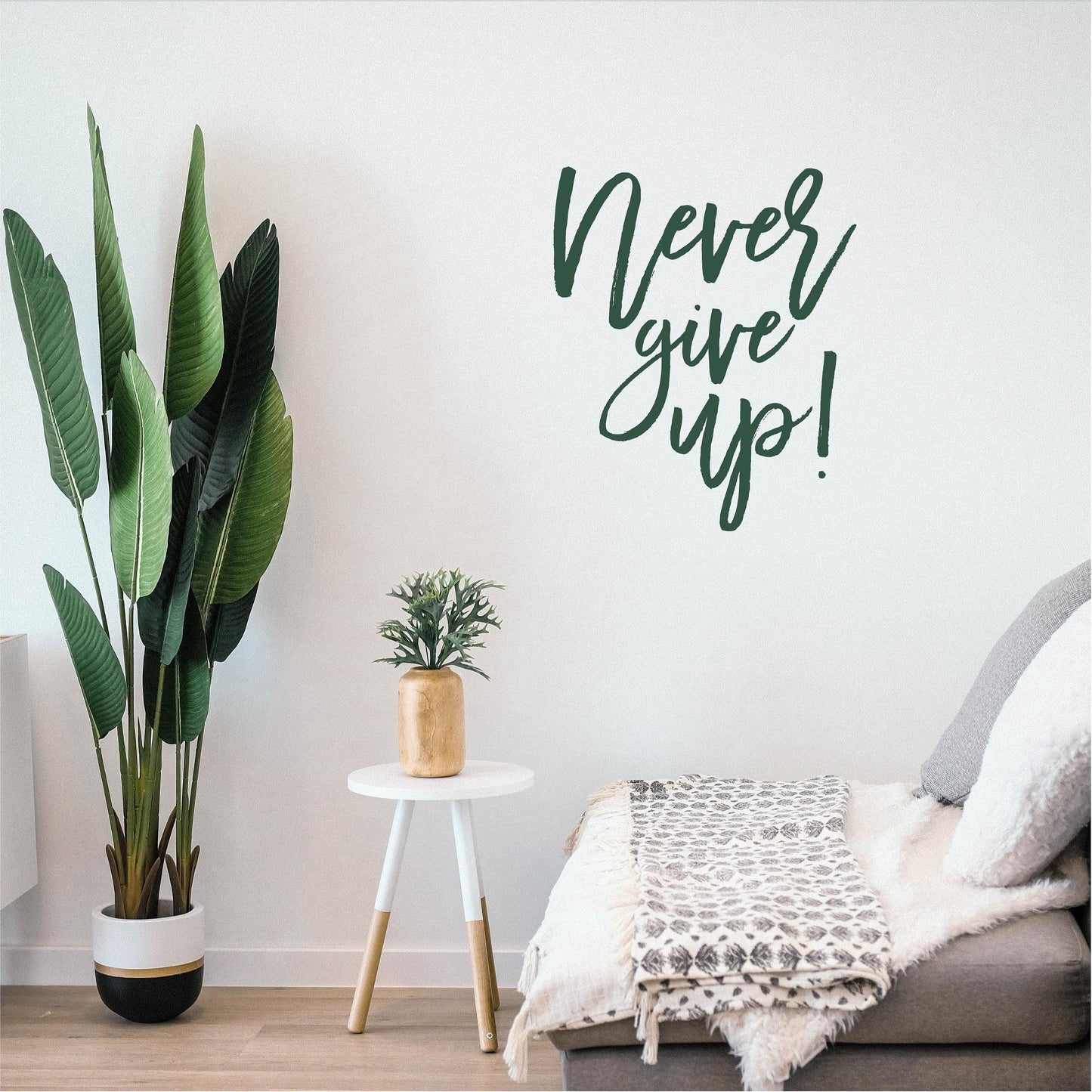 Never give up!