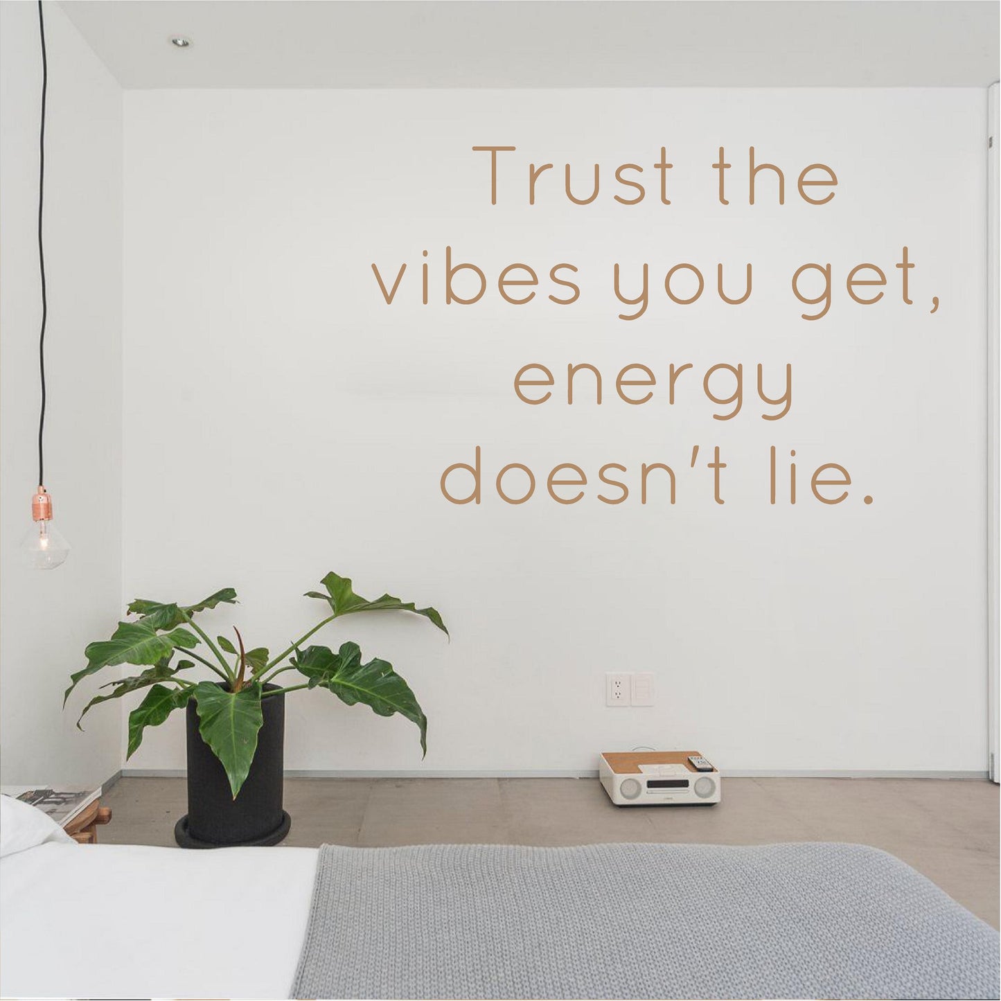 Trust the vibes you get, energy doesn't lie