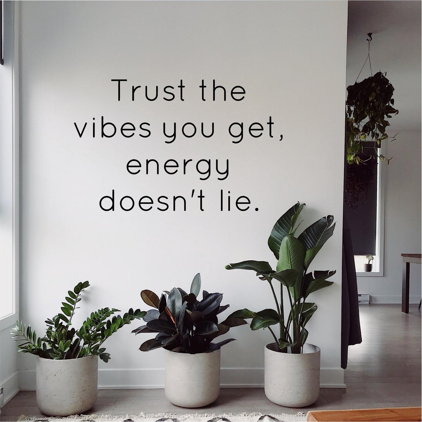 Trust the vibes you get, energy doesn't lie
