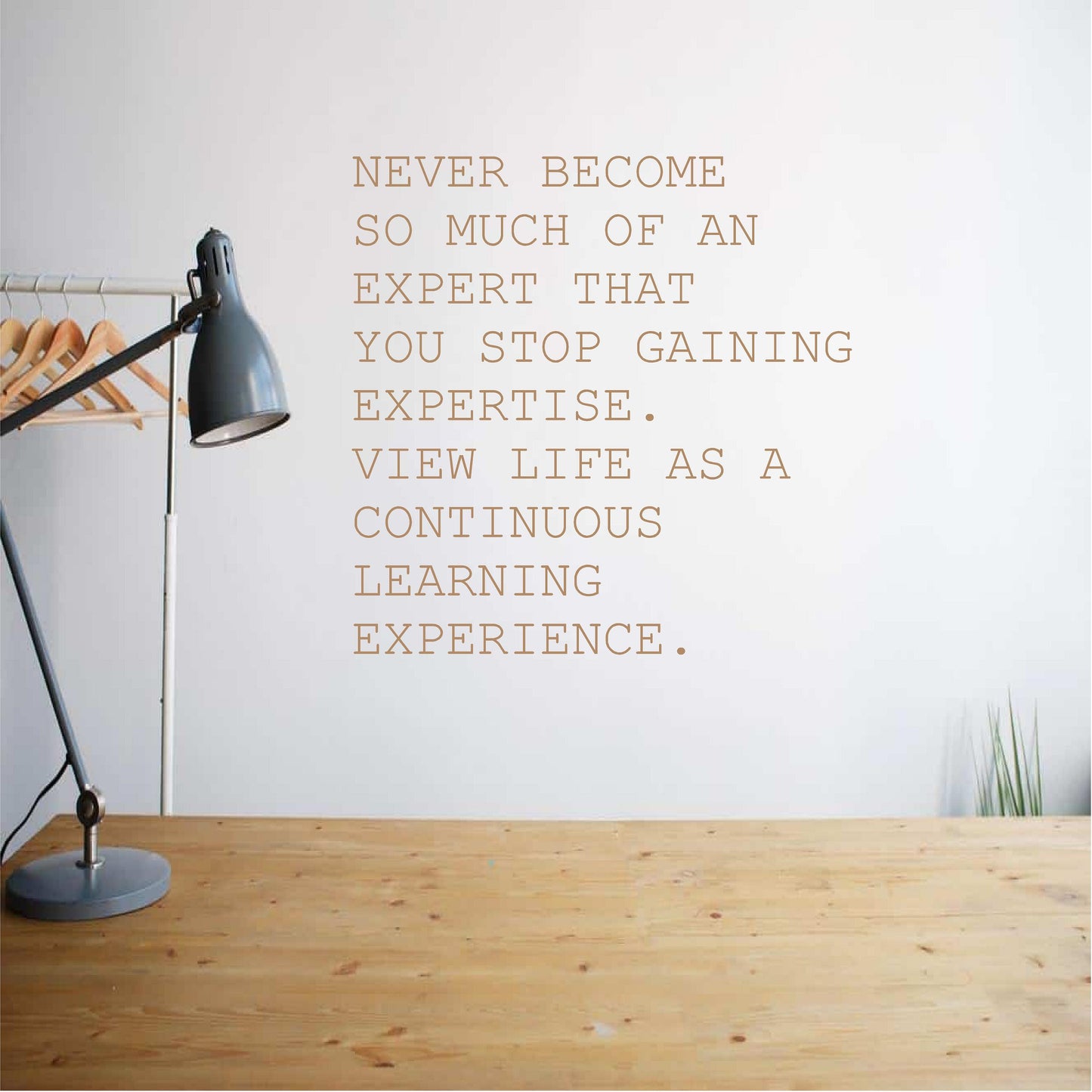 View life as a continues learning experience
