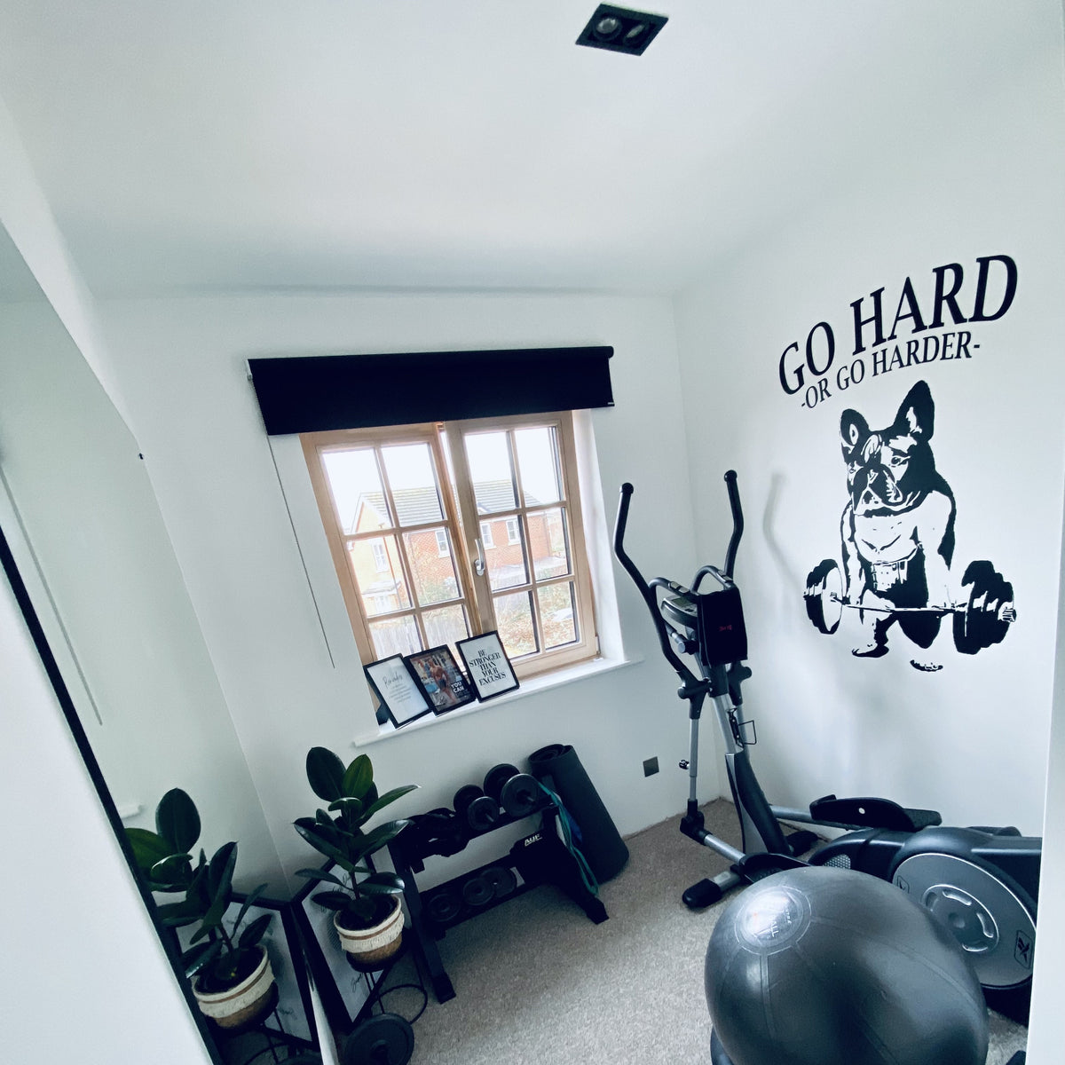 Bulldog home gym - customer project photograph
