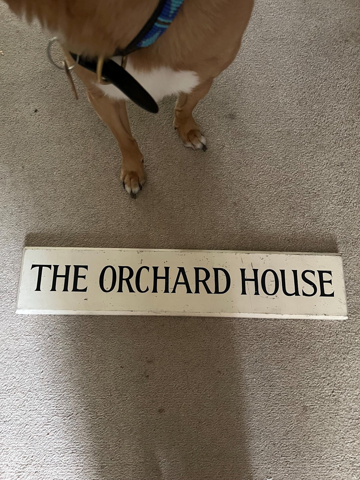 The Orchard House sign — original project photograph